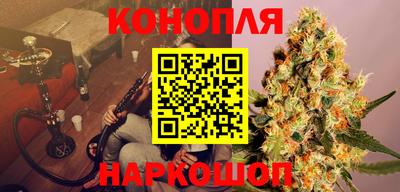 индика Шахты