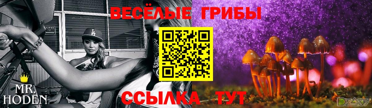 Воркута  Галлюциногенные грибы ЛСД  Вход с VPN 