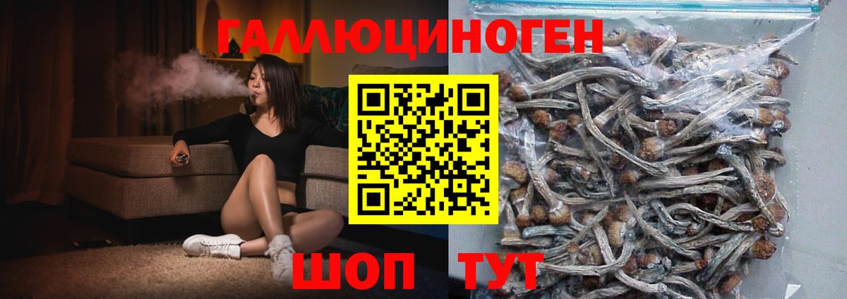 Псилоцибиновые грибы прущие грибы Воркута